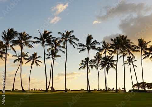 In a beach park vacationers sit in sun loungers under tall palm trees and watch the sunset and the evening light - Location: Hawaii