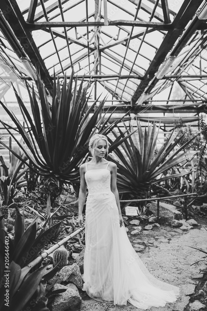 Φωτογραφία Serious woman portrait handsome bride in a wedding dress is standing on the background of Botanical garden full of cactus