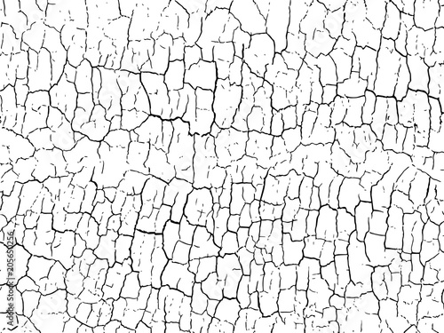 The cracks texture white and black. Vector background.Cracked earth