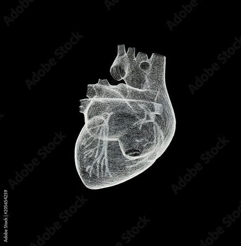 Wallpaper Mural Mesh model of a human heart isolated on black background Torontodigital.ca