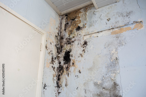 Foto Water damage causing mold growth on the interior walls of a property