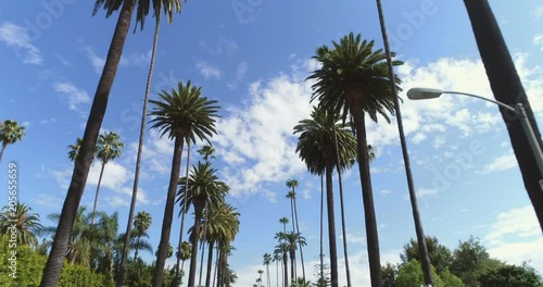 Point of view shot of Beverly Hills, Los Angeles. Driving under palm trees