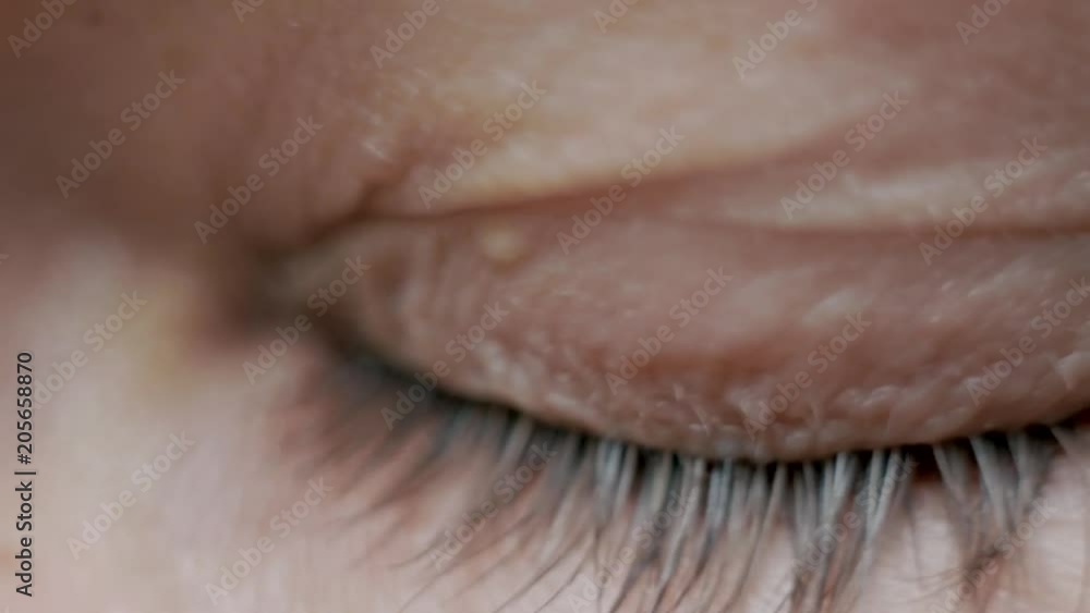 blue eye of a man close-up looks at something blue eye of a man close-up looks at something