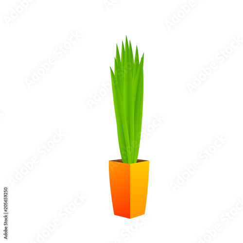 On the floor is a pot with green plant