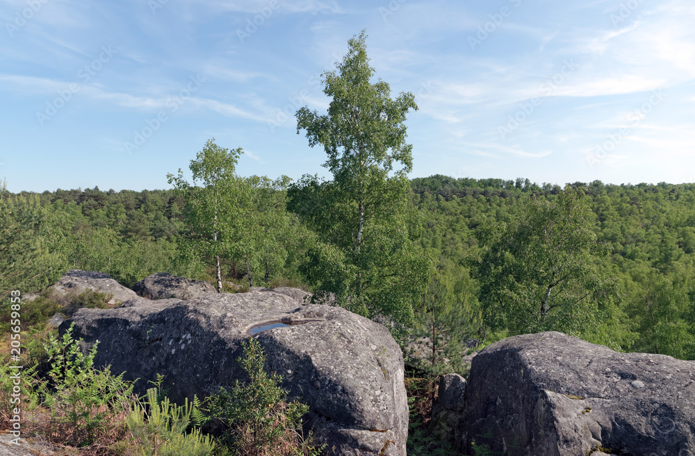 Apremont rocks in fontainebleau forest