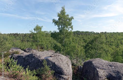 Apremont rocks in fontainebleau forest