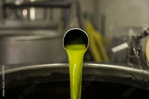 uscita dell'olio extra vergine d'oliva photo
