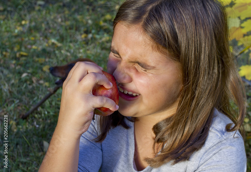 Child bite a red apple and has a heavy toothache. Cute little girl eat orange fruit apple and feel tooth pain. Closeup portrait of kid cries of tooth pain. Little kid with sensitive toothache cries.