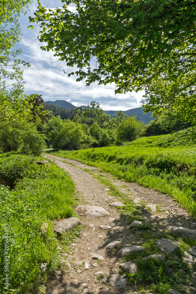 Amazing landscape of Green Hills near village of Fotinovo in Rhodopes Mountain, Pazardzhik region, Bulgaria Amazing landscape of Green Hills near village of Fotinovo in Rhodopes Mountain, Pazardzhik region, Bulgaria