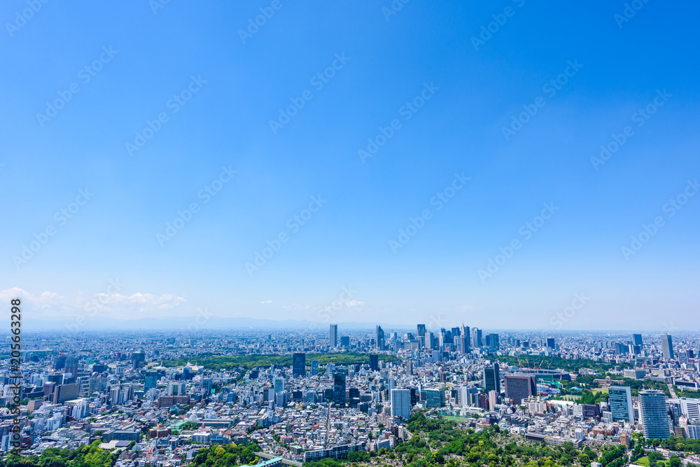 Obraz premium Wczesnym latem Tokio panorama Panoramę miasta Tokio, Japonia