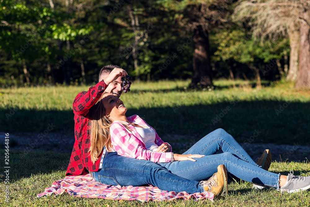 Couple having picnic at park