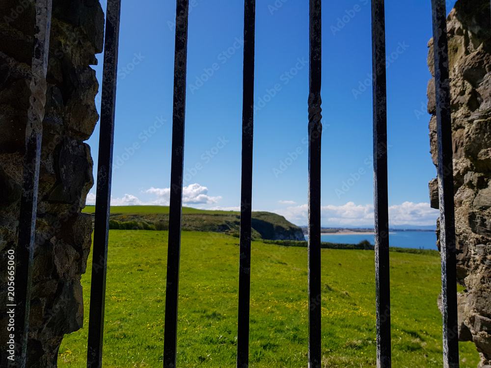 Fototapeta premium view over windows on grassy field and coast of ocean in northern ireland 
