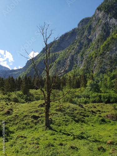 Sch  nheit kennt keine Grenzen  Alpen