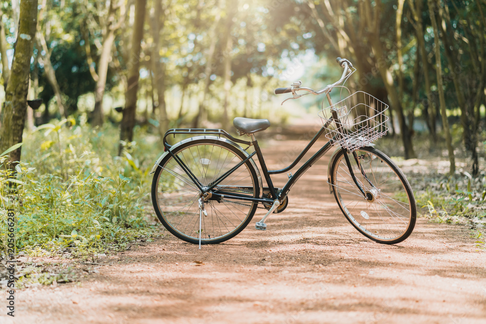 Fototapeta premium old vintage bicycle with forest background