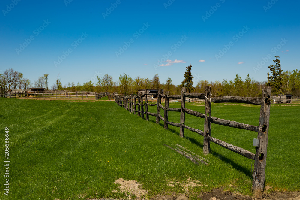 summer pasture fence