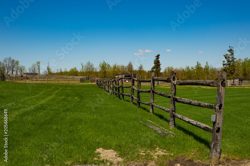 summer pasture fence
