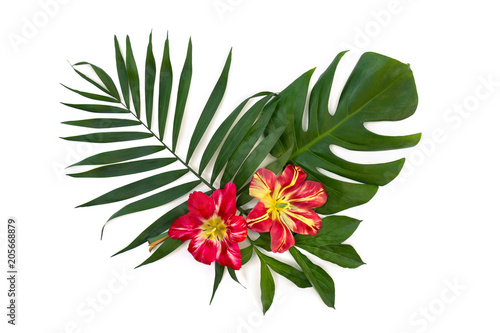 Fototapeta Naklejka Na Ścianę i Meble -  Tropical leaves palm tree and monstera with red yellow flowers on a white background. Top view, flat lay.
