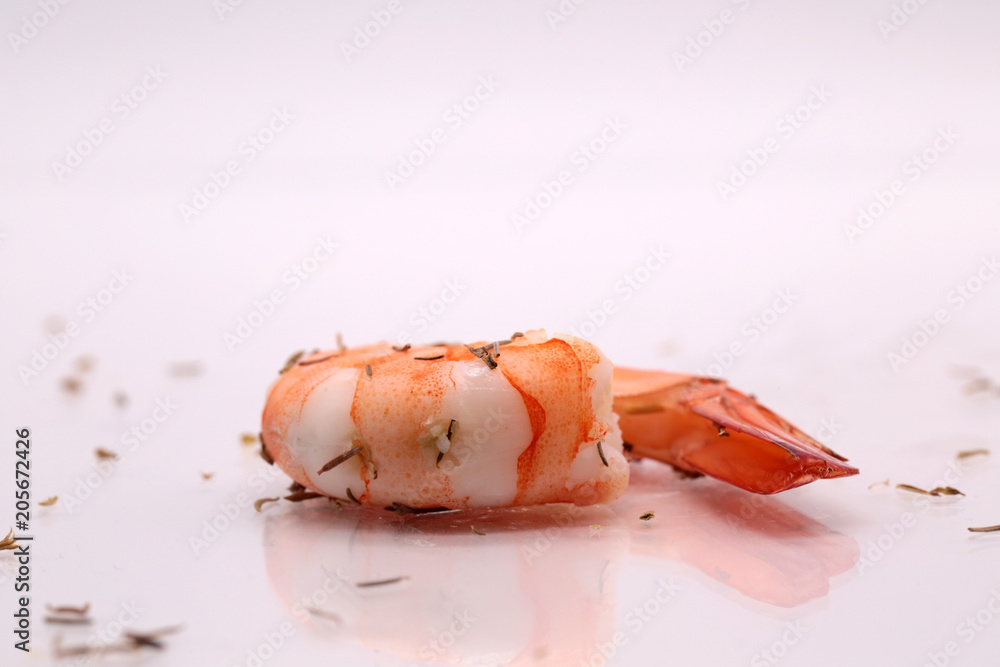 shrimps with white background
