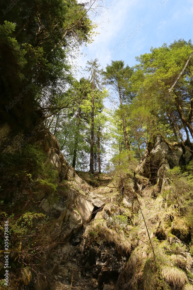 Berglandschaft in den Alpen im Sommer Berglandschaft in den Alpen im Sommer
