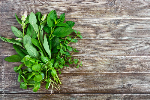 Fresh greens and herbs, harvested from the garden. Herbs for making herbal tea. Bunch useful products on a wooden table (basil, mint, salvia, melissa), free space for your project.