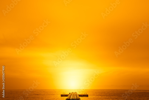 Pier into the summer sun