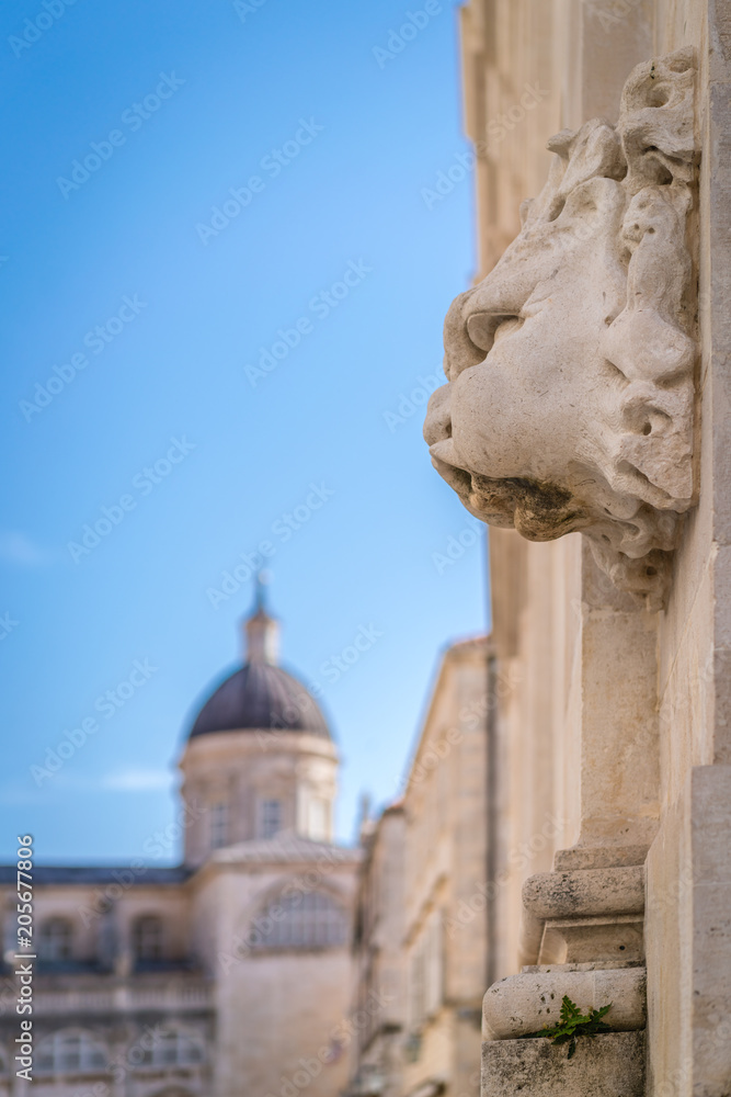 Lion face sculpture on a wall in dubrovnik
