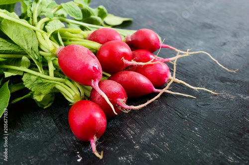 Summer harvested red radish. Growing organic vegetables. Large bunch of raw fresh juicy garden radish on dark boards ready to eat. Closeup.