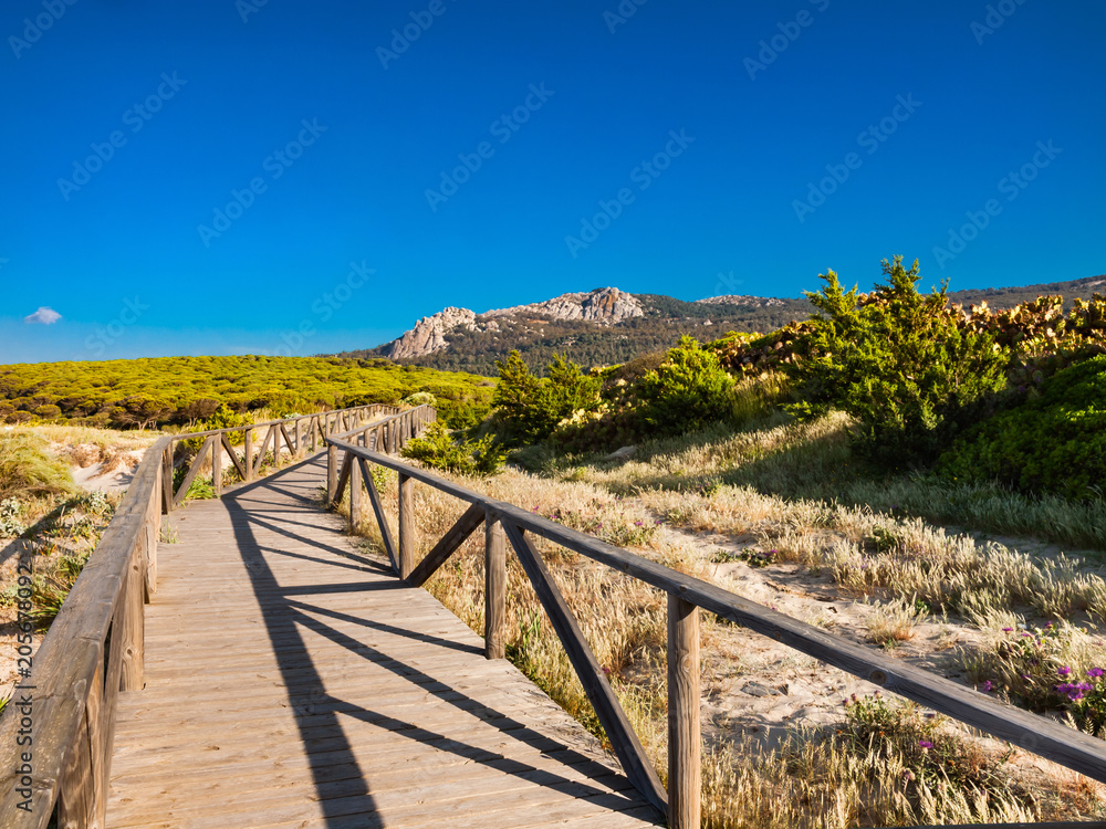 Landscape near the beach of Bolonia,Tarifa, province Cadiz, Andalusia, Spain
