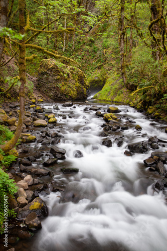 Rocky stream in Oregon, long exposure