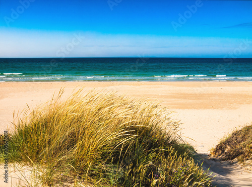Fototapeta Naklejka Na Ścianę i Meble -  Dune with beachgrass in Tarifa, costa de la luz, Spain, Europe