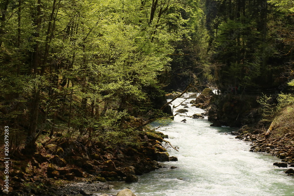 Obraz premium Wandern am Ufer eines Flusses in den Bergen