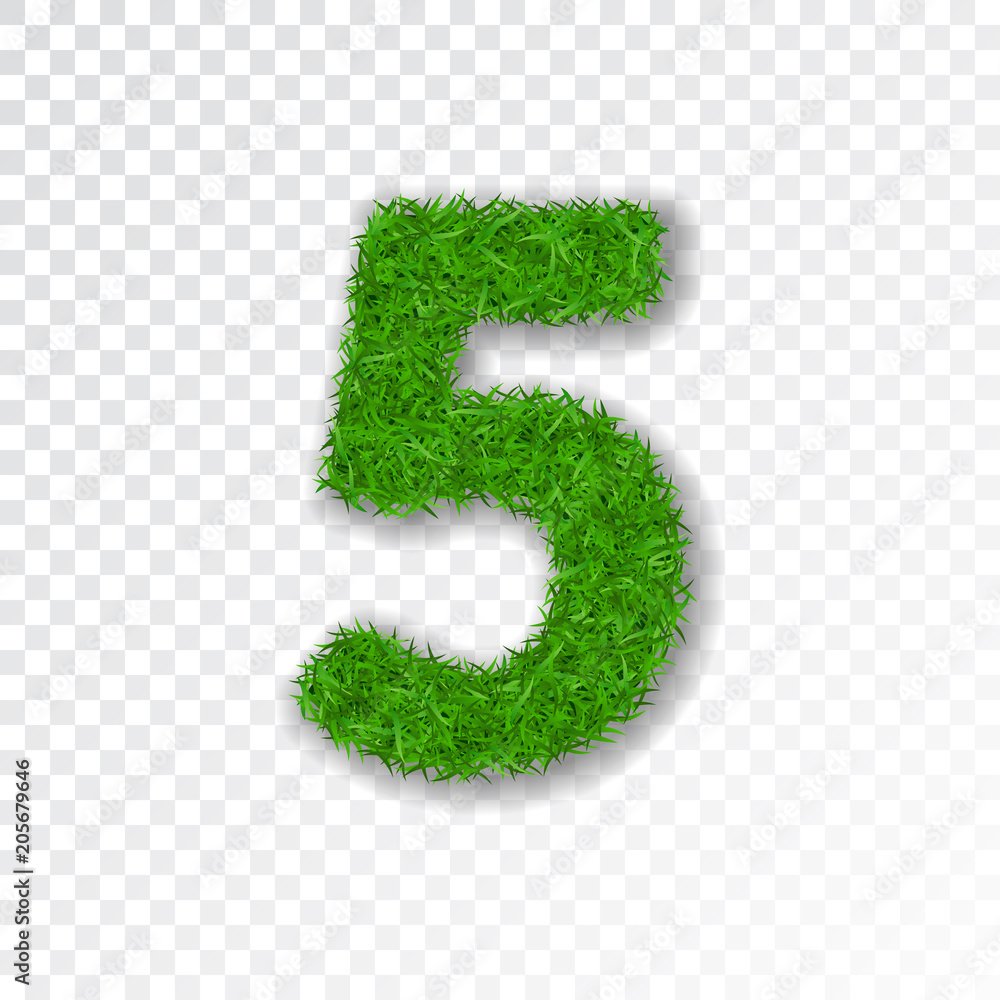 Grass number five. Green number five, isolated on white transparent background. Green grass 5, fresh symbol of nature, plant lawn, summer. Grass texture font. Beautiful eco design. Vector illustration Grass number five. Green number five, isolated on white transparent background. Green grass 5, fresh symbol of nature, plant lawn, summer. Grass texture font. Beautiful eco design. Vector illustration