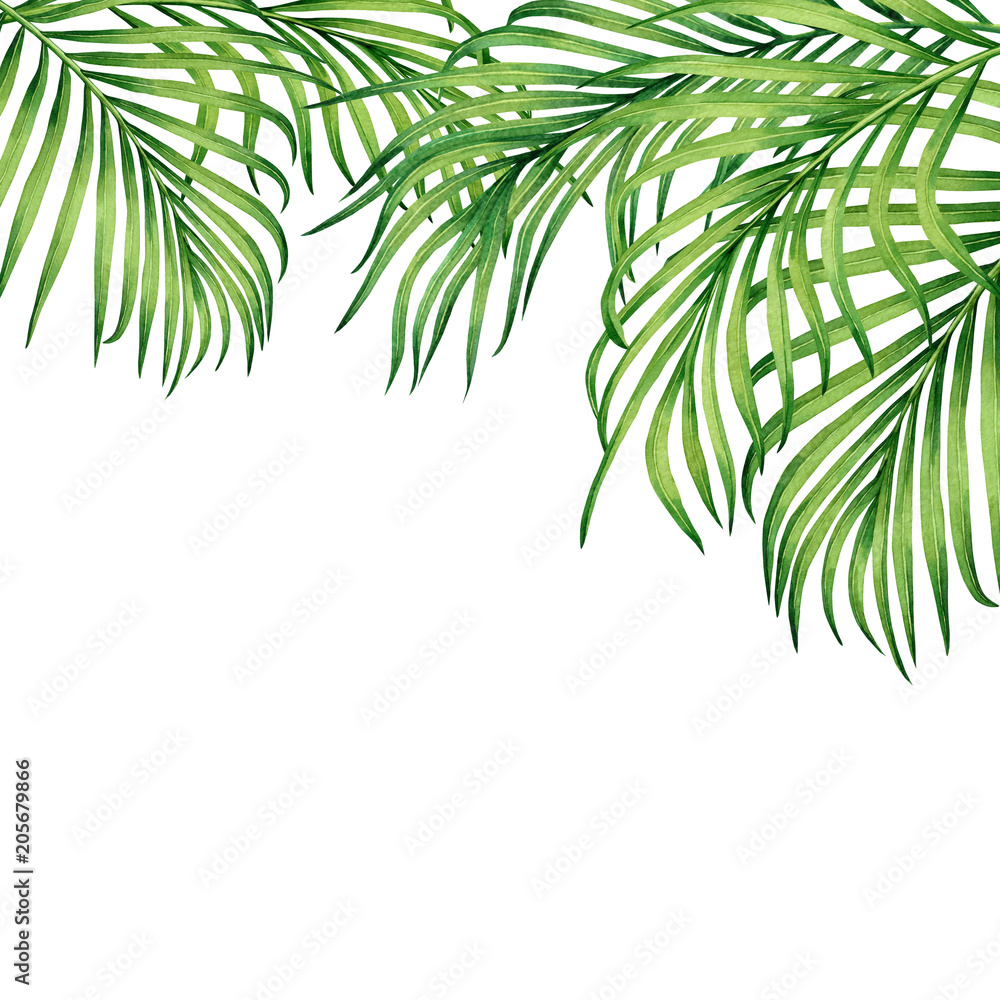 Obraz premium Watercolor painting frame tropical leaves coconut,palm,green leaf on white background.Watercolor hand drawn illustration tropical exotic leaf card or design,wedding invitation,posters or save the date
