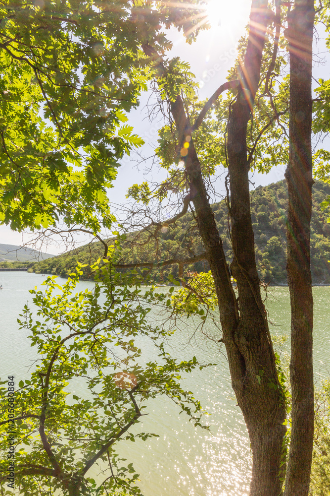Beautiful lake with cypress trees growing in Russia, Krasnodar Krai. Anapa lake cypress. The sukkah village and the lake. Beautiful lake with cypress trees growing in Russia, Krasnodar Krai. Anapa lake cypress. The sukkah village and the lake.