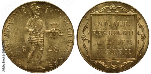 The Netherlands Dutch coin one ducat 1928, trade coin, standing knight with sword and bunch of arrows, mottos in Latin Union is Force and golden coin of the Netherlands, gold,