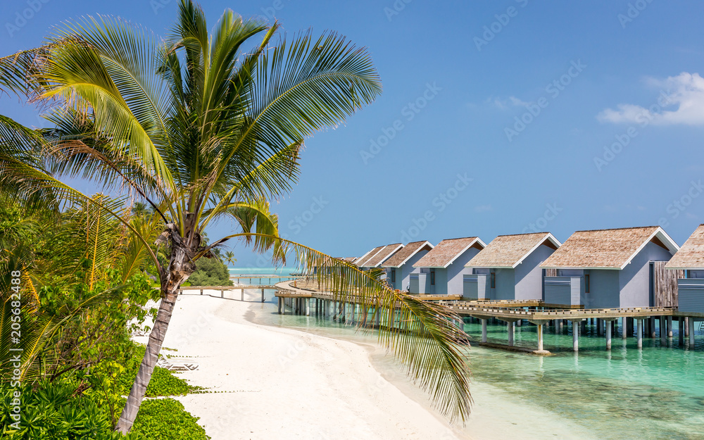 Fototapeta premium Unique beauty of blue lagoon in Maldives