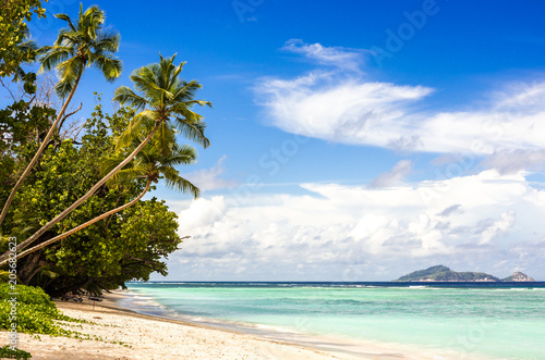Fototapeta Naklejka Na Ścianę i Meble -  Idyllic scenery of sandy beach in the Seychelles