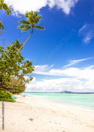 Idyllic scenery of sandy beach in the Seychelles