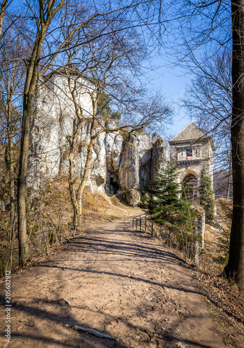 Ruins of Ojcow castle in Poland