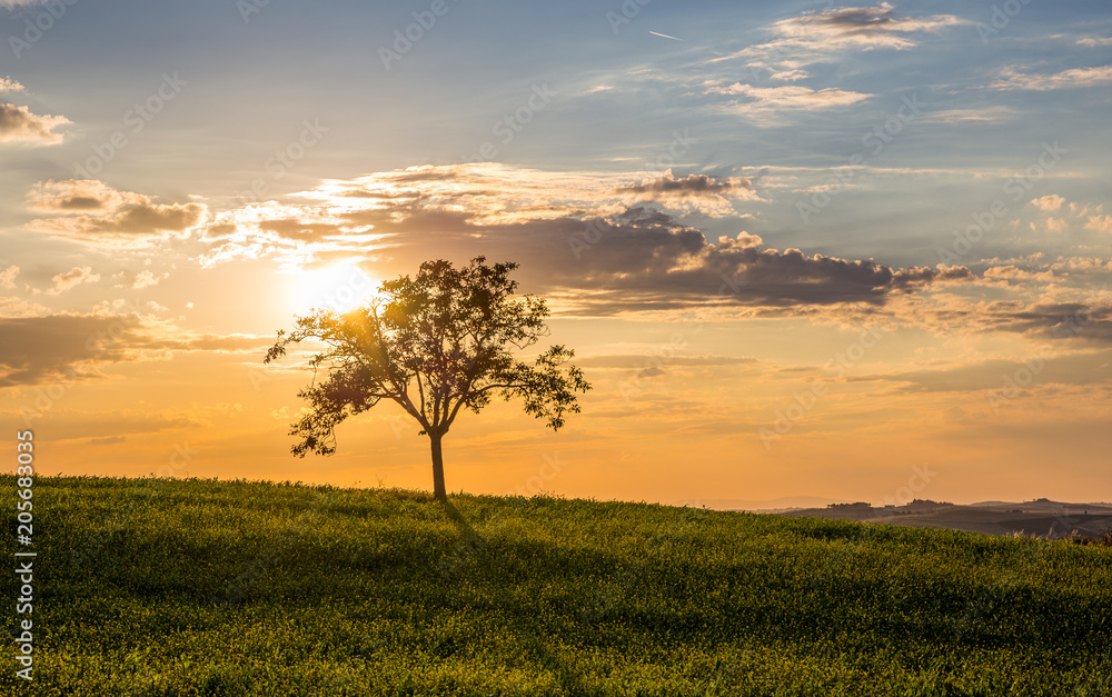 Golden sunset in Tuscany