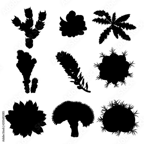 Black silhouettes cactus fashion set design. Cacti mood collection. Sketchy hand drawn style illustration. Succulent terrarium collection. Wild floral exotic tropical forest. Vector.