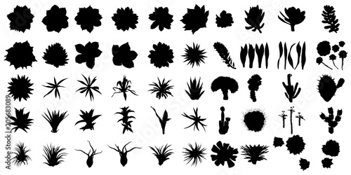 Large black silhouettes cactus set. Hand drawn plants. Exotic floral sketch illustration collection. Different cactuses in monochrome style. Vector.