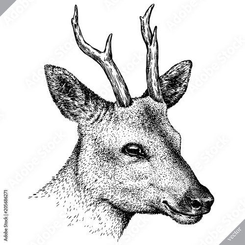 black and white engrave isolated deer vector illustration