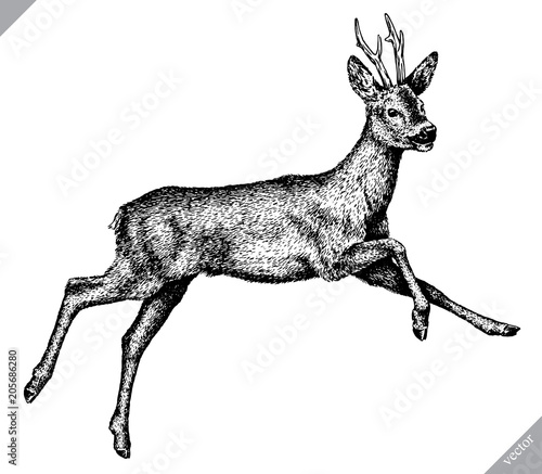 black and white engrave isolated deer vector illustration