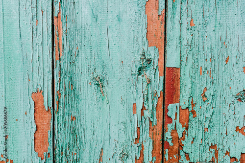 The old cracked paint..Over time, the paint green wood grain, background, colorful, cracks in the paint, vintage, abstract, grunge, texture