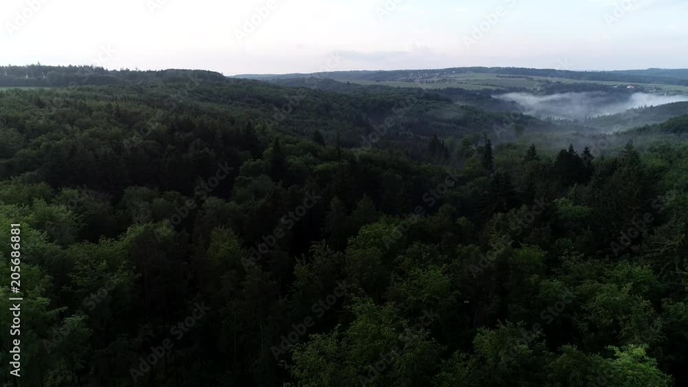 Dark moody aerial view of mystical woods at foggy twilight. Horror forest concept. 4K 60 FPS. Dark moody aerial view of mystical woods at foggy twilight. Horror forest concept. 4K 60 FPS.