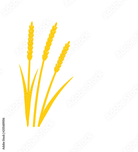 Silhouette of grass with inflorescences spike