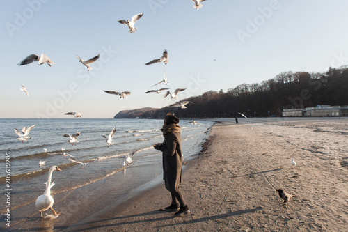 Birds on the seafront, swans, seagulls, the girl feeds birds
