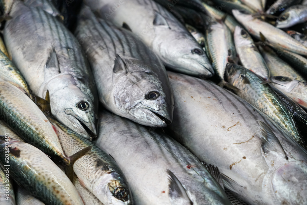 Fresh fish photographed on a fish market in Portugal
Fresh fish photographed on a fish market in Portugal
