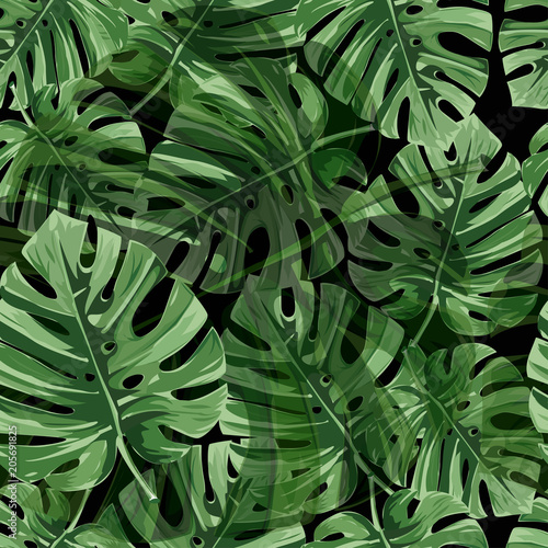 Fototapeta Naklejka Na Ścianę i Meble -  Tropical palm leaves, jungle leaves seamless vector floral pattern.